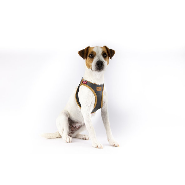 CURLI Postroj pre psov z jablčnej kože Black 2XS, 2-4 kg