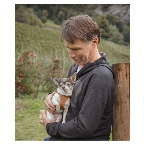 CURLI Postroj pre psov z jablčnej kože Black L, 8-13 kg