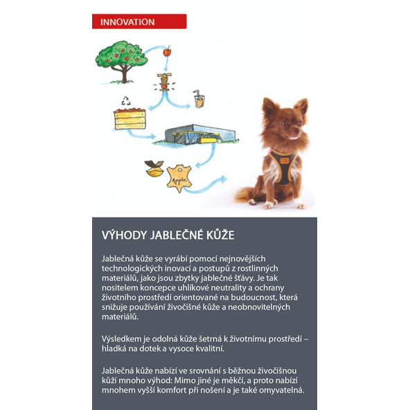 CURLI Postroj pre psov z jablčnej kože Brown M, 6-9 kg