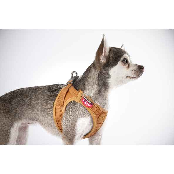 CURLI Postroj pre psov z jablčnej kože Brown M, 6-9 kg