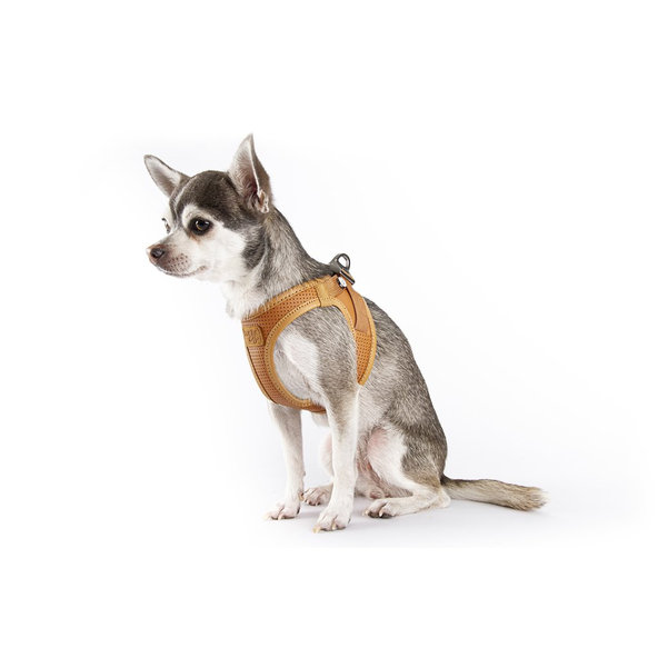 CURLI Postroj pre psov z jablčnej kože Brown XS, 3-5 kg