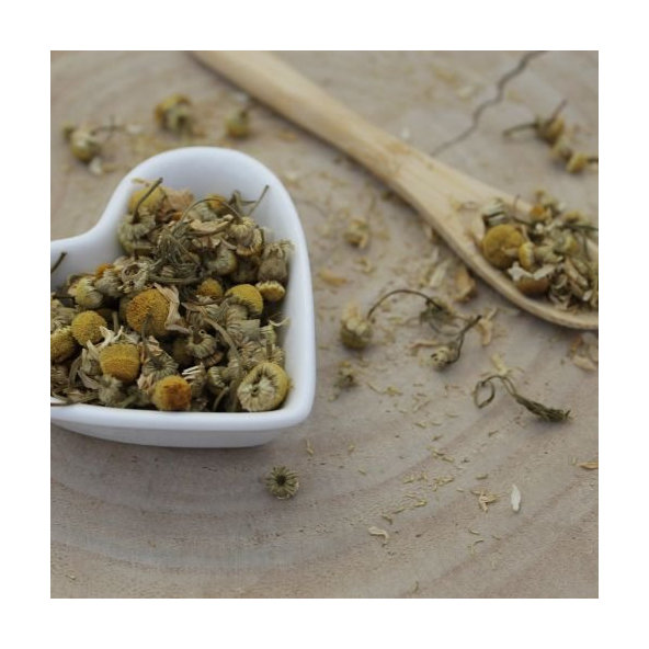 Rumanček kamilkový - kvet celý - Matricaria chamomilla - Flos chamomillae