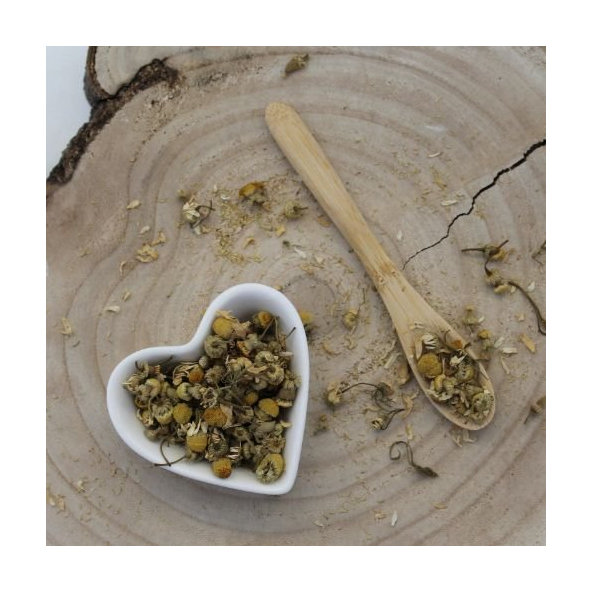 Rumanček kamilkový - kvet celý - Matricaria chamomilla - Flos chamomillae