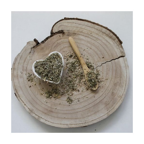 Šalvia lekárska - listy narezané - Salvia officinalis - Folium salviae