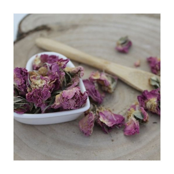 Ruža damašská - kvet - Rosa damascena - Flos rosae tot