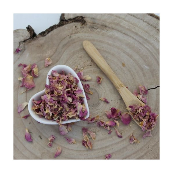 Ruža damašská - okvetné lístky - Rosa damascena - Flos rosae