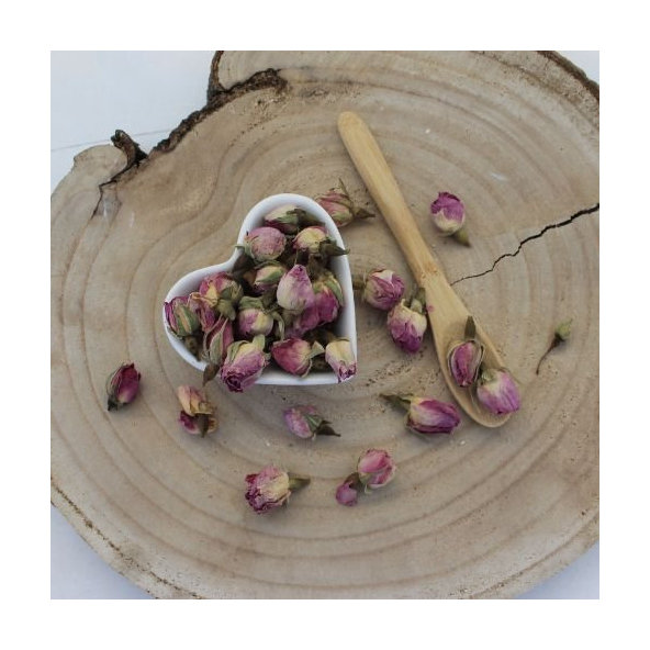 Ruža damašská - púčiky - Rosa damascena - Flos rosae