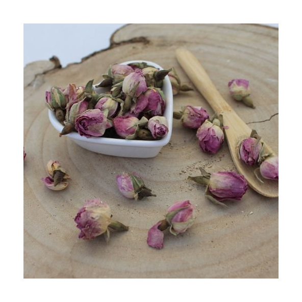 Ruža damašská - púčiky - Rosa damascena - Flos rosae