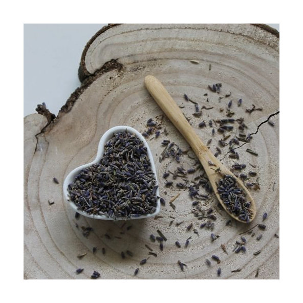 Levanduľa lekárska Alpine - kvet - Lavandula angustifolia Alpine - Flos lavandulae