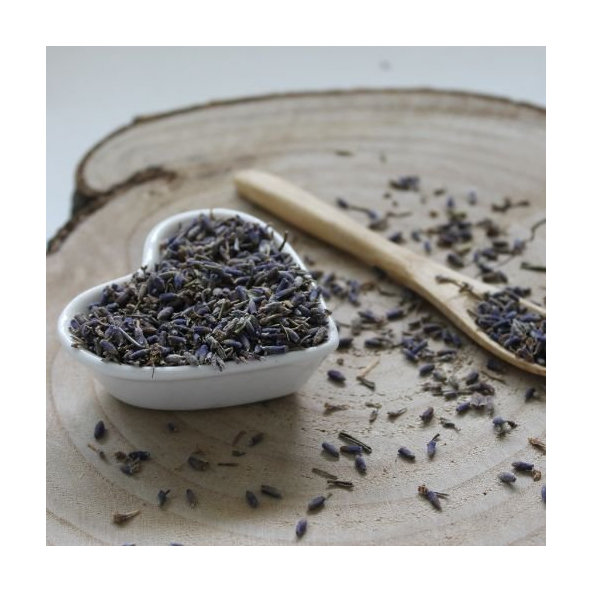 Levanduľa lekárska Alpine - kvet - Lavandula angustifolia Alpine - Flos lavandulae