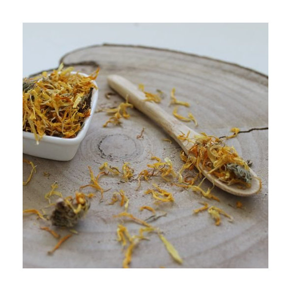 Nechtík lekársky - celý kvet - Calendula officinalis - Flos calendulae