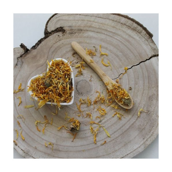 Nechtík lekársky - celý kvet - Calendula officinalis - Flos calendulae