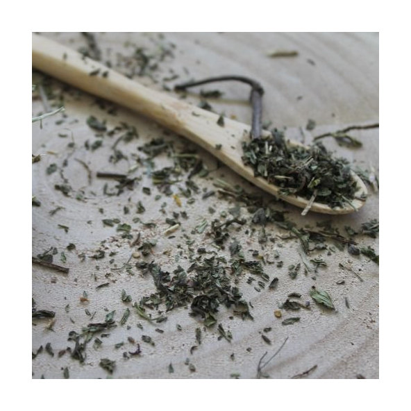 Mäta klasnatá - vňať narezaná - Mentha spicata - Folium menthae