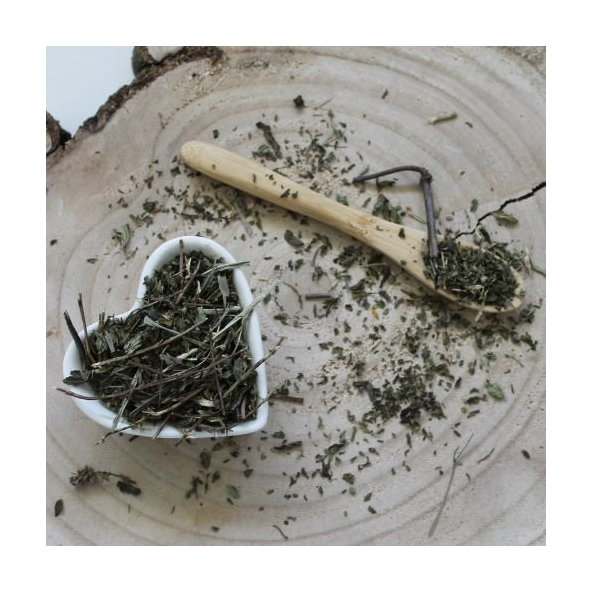 Mäta klasnatá - vňať narezaná - Mentha spicata - Folium menthae