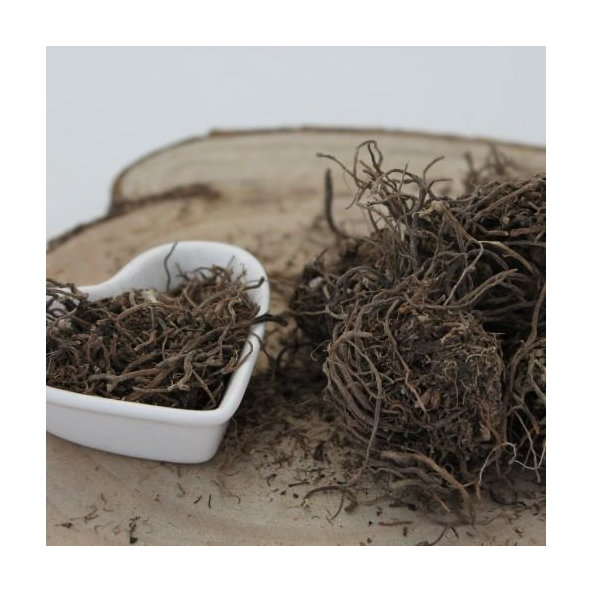 Valeriána lekárska - koreň celý - Valeriana officinalis - Radix valerianae