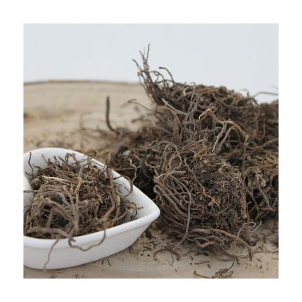 Valeriána lekárska - koreň celý - Valeriana officinalis - Radix valerianae