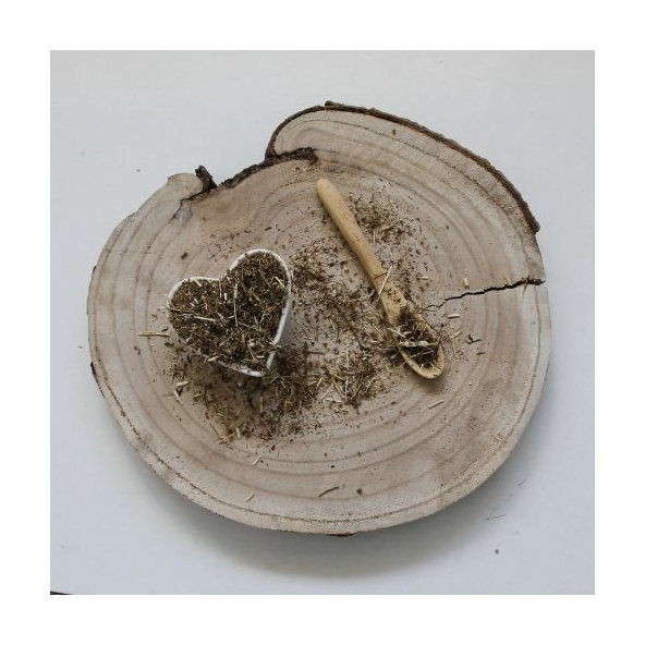 Palina ročná - vňať - Artemisia annuua - Herba artemisiae annuuae