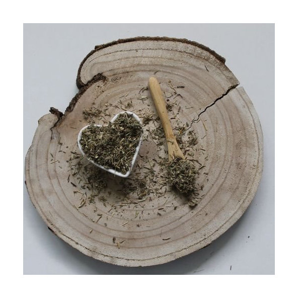 Materina dúška úzkolistá - vňať narezaná - Thymus serpyllum - Herba thymi serpylli