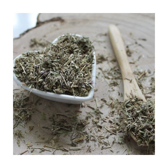 Materina dúška úzkolistá - vňať narezaná - Thymus serpyllum - Herba thymi serpylli