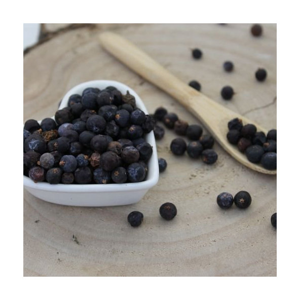 Borievka obyčajná - plod - Juniperus communis - Fructus juniperi