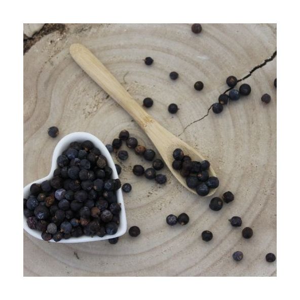 Borievka obyčajná - plod - Juniperus communis - Fructus juniperi