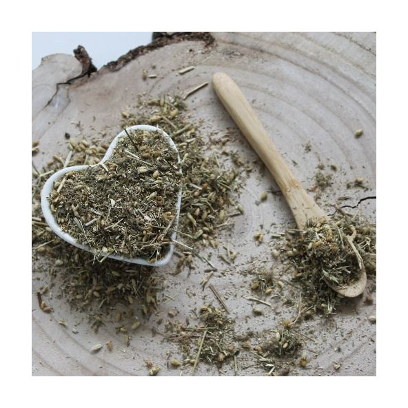 Rebríček obyčajný - vňať celá - Achillea millefolium - Herba millefolii