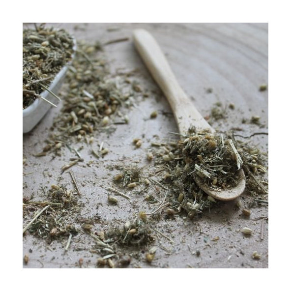 Rebríček obyčajný - vňať celá - Achillea millefolium - Herba millefolii