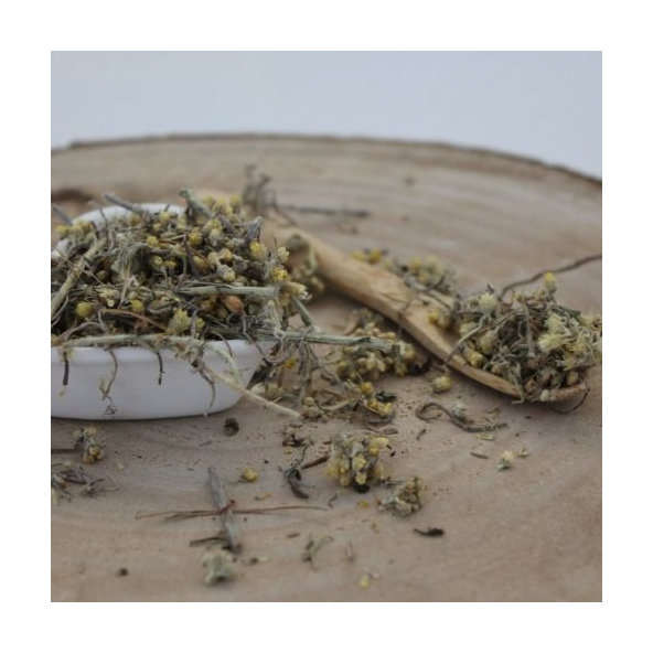 Slamienka talianska - vňať narezaná - Helichrysum italicum - Herba helichrysi