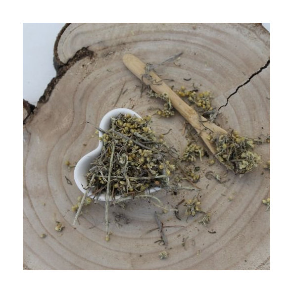 Slamienka talianska - vňať narezaná - Helichrysum italicum - Herba helichrysi