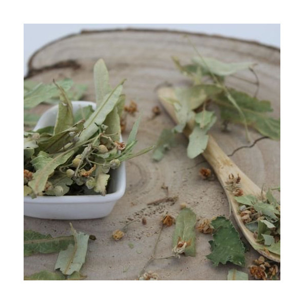 Lipa malolistá - kvet - Tilia cordata - Flos tiliae