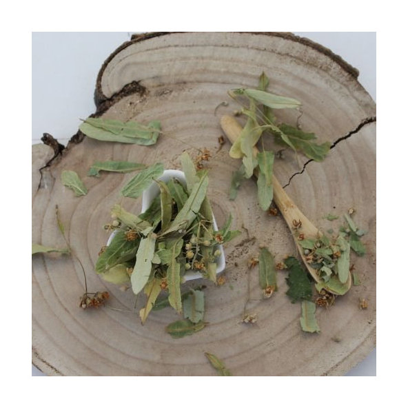 Lipa malolistá - kvet - Tilia cordata - Flos tiliae