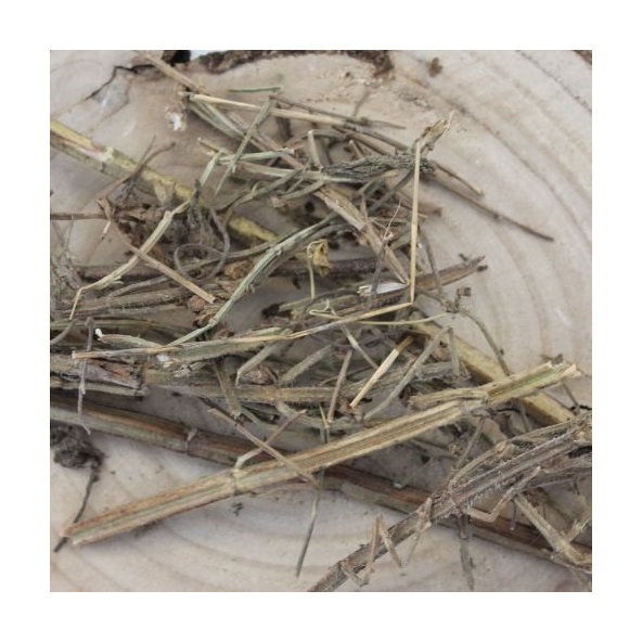 Šalvia muškátová - list narezaný - Salvia sclarea - Folium salvia sclareae