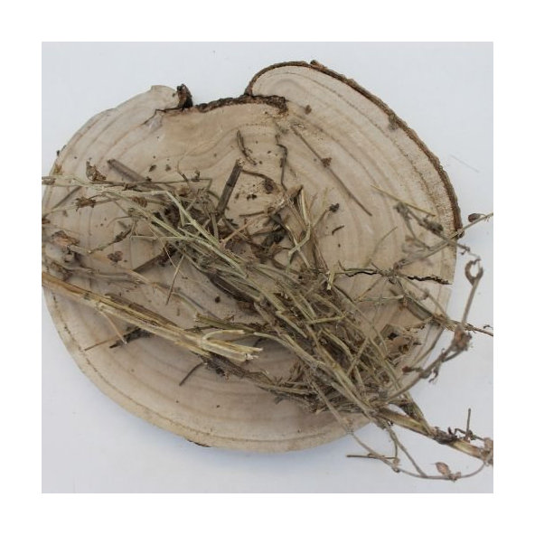 Šalvia muškátová - list narezaný - Salvia sclarea - Folium salvia sclareae