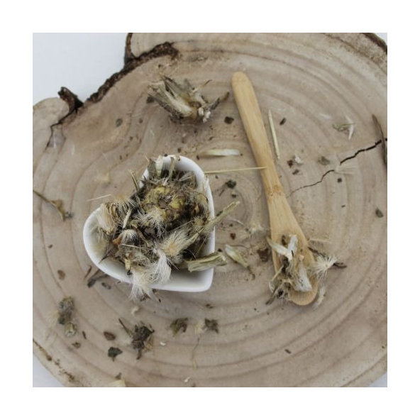 Pestrec mariánsky - vňať narezaná - Silybum marianum - Herba cardui marianae