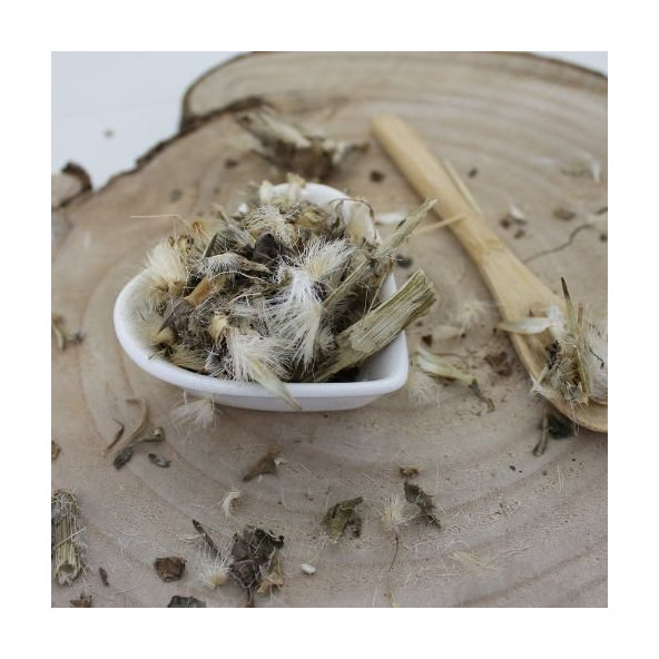 Pestrec mariánsky - vňať narezaná - Silybum marianum - Herba cardui marianae