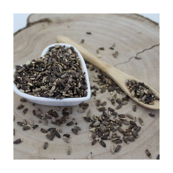 Pestrec mariánsky - plod celý - Silybum marianum - Fructus cardui marianae tot