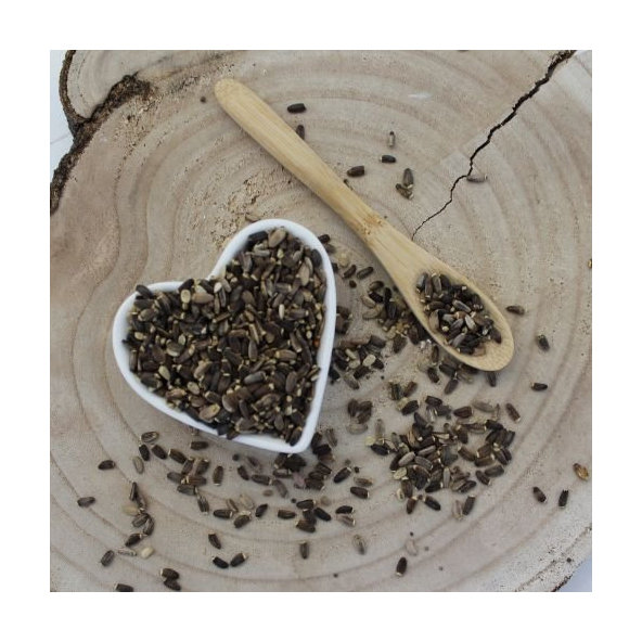 Pestrec mariánsky - plod celý - Silybum marianum - Fructus cardui marianae tot