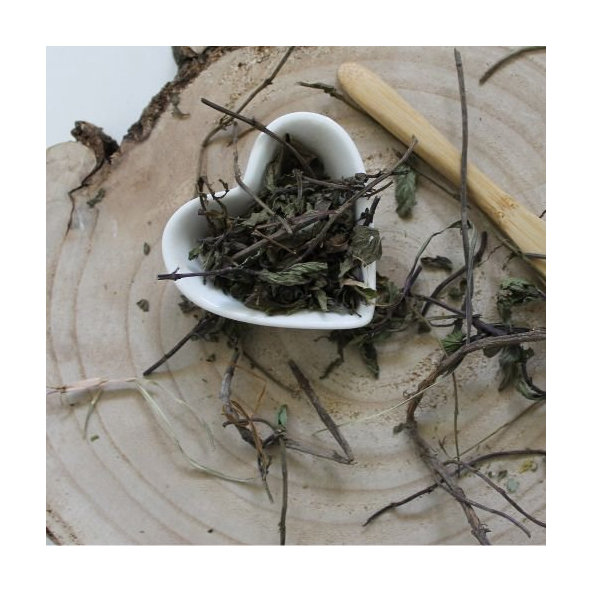 Mäta pieporná - vňať celá - Mentha x piperita - Herba menthae piperitae