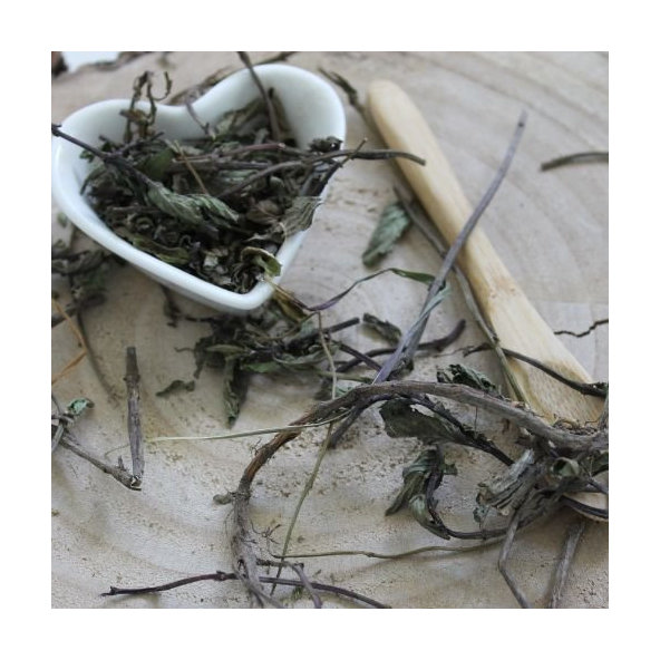 Mäta pieporná - vňať celá - Mentha x piperita - Herba menthae piperitae