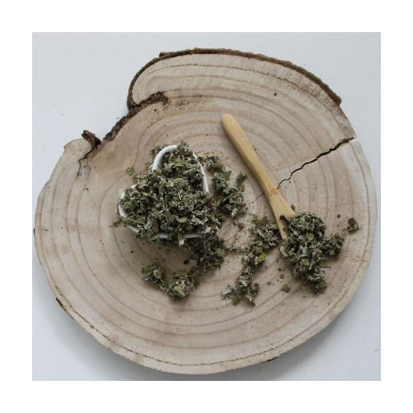 Podbeľ liečivý - list narezaný - Tussilago farfara - Folium farfarae