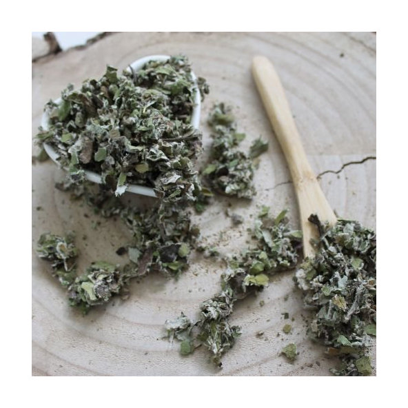 Podbeľ liečivý - list narezaný - Tussilago farfara - Folium farfarae