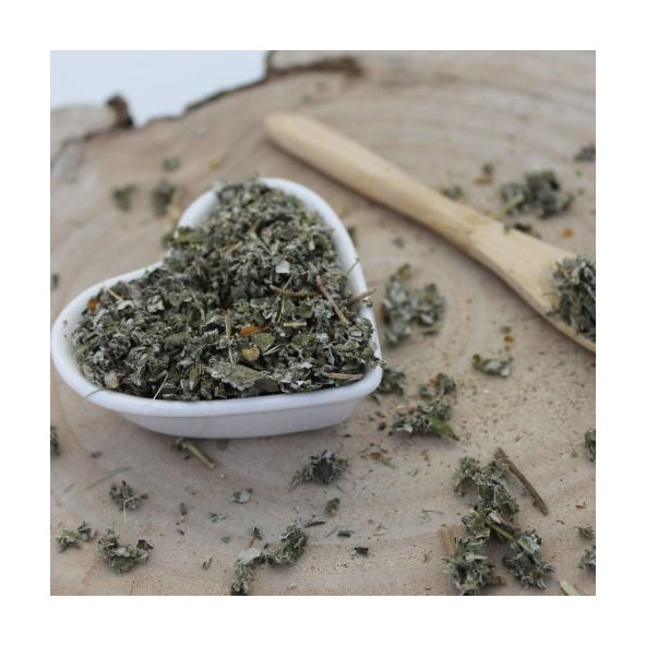 Ostružina malinová - list narezaný - Rubus idaeus - Folium rubi idaei