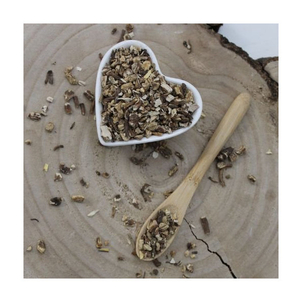 Archangelika lekárska - koreň narezaný - Archangelica officinalis - Radix angelicae