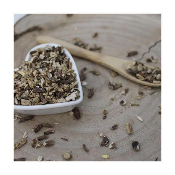 Archangelika lekárska - koreň narezaný - Archangelica officinalis - Radix angelicae