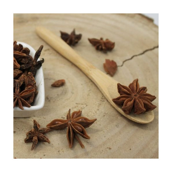 Anízovec pravý, badián - plod celý - Illicium verum - Illici veri fructus