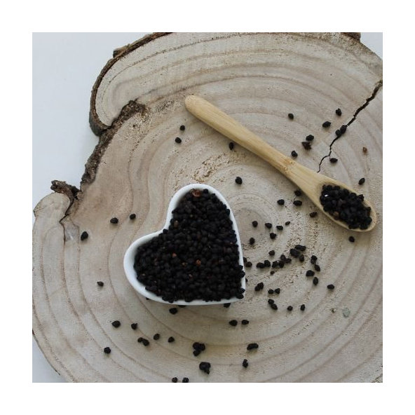 Baza čierna - plod - Sambucus nigra - Fructus sambuci