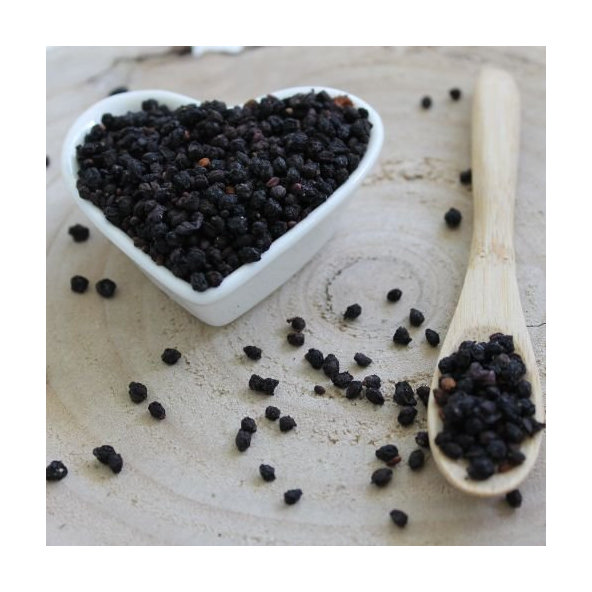 Baza čierna - plod - Sambucus nigra - Fructus sambuci