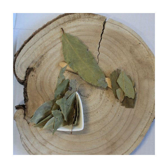 Vavrín pravý, bobkový list - list celý - Laurus nobilis - Folium lauris nobilis tot.