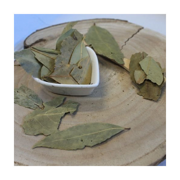 Vavrín pravý, bobkový list - list celý - Laurus nobilis - Folium lauris nobilis tot.