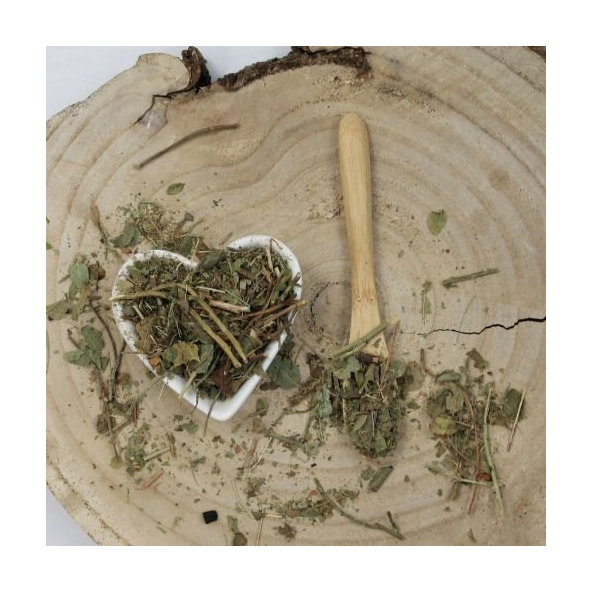 Brusnica čučoriedková, čučoriedka - list celý - Vaccinium myrtillus - Folium myrtilli